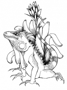 iguana-bromelia
